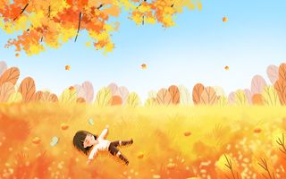 秋日风景落叶黄色枫叶背景