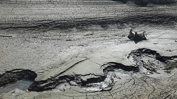 风景 露水 素材拍摄 (103)