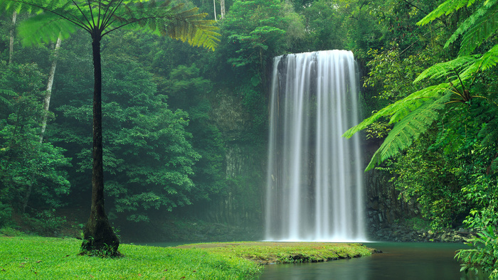 风景画 绿地风景 自然风景画 花树 