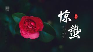 24二十四节气中国风创意惊蛰节日宣传海报模板PSD设计素材