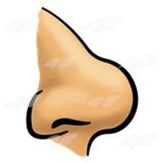 人的鼻子 PNG免抠