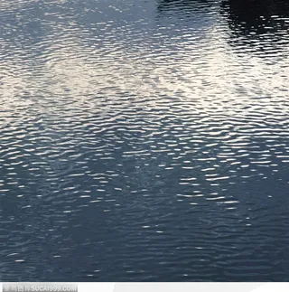 轻轻泛起的水波