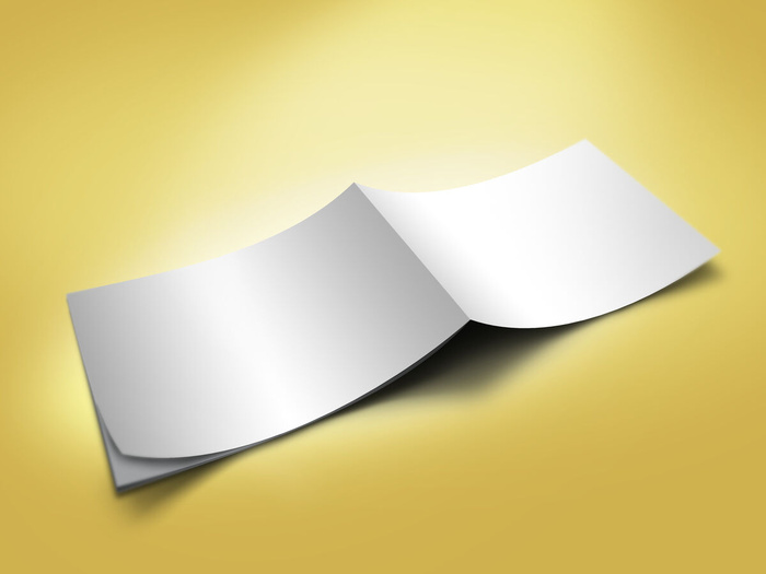 产品画册提案效果样机模板