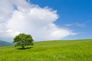 高清绿色草原图片下载