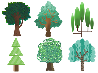 春天树木素材4