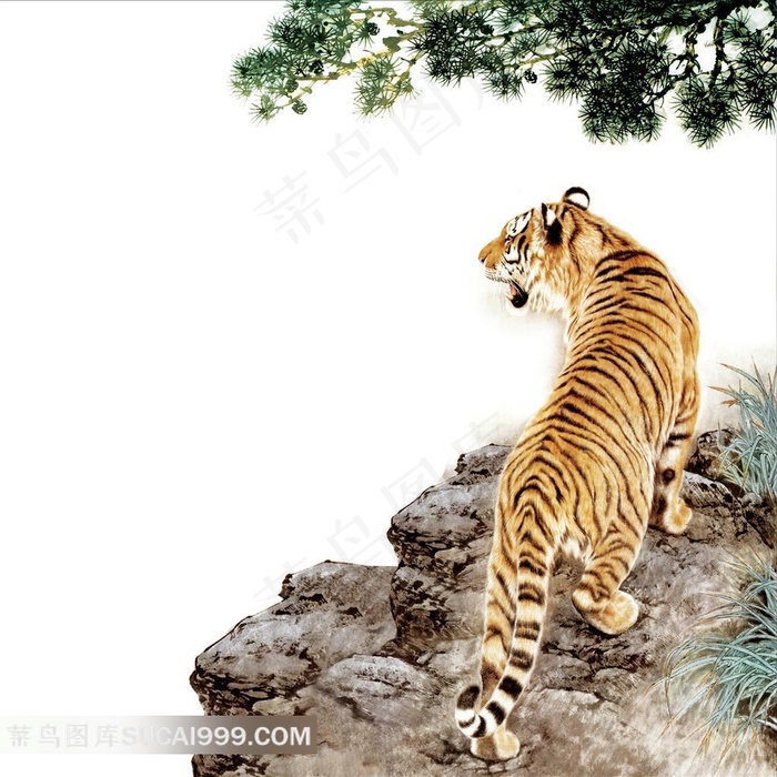 国画老虎素材