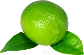 青柠檬免抠素材 (5)