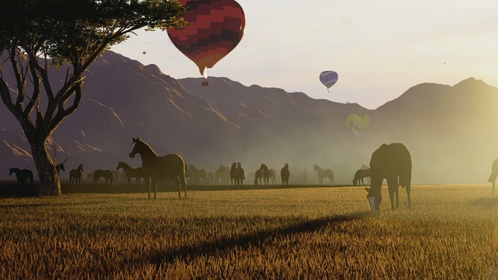 大自然中野马上空的热气球
