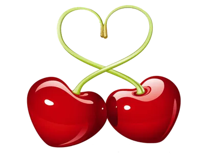 樱桃车厘子情人节