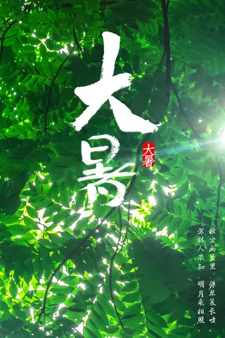 二十四节气大暑海报