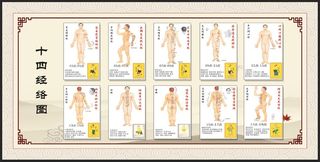 十四经络图
