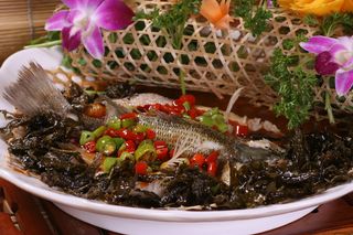 OK茶香鱼  48元斤 (13)