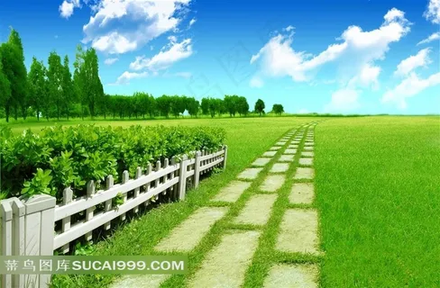 绿色野外风光图片