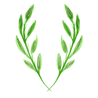 唯美森系手绘水彩花朵 免抠