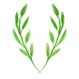 唯美森系手绘水彩花朵 免抠