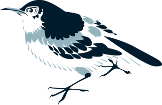 简约风手绘素描动画小鸟鸟儿免扣PNG图片素材 (87)