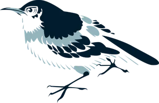 简约风手绘素描动画小鸟鸟儿免扣PNG图片素材 (87)