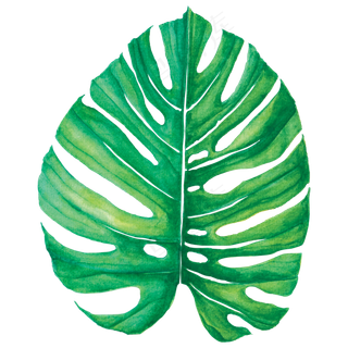 水彩插画-树叶8 水彩插画-树叶8