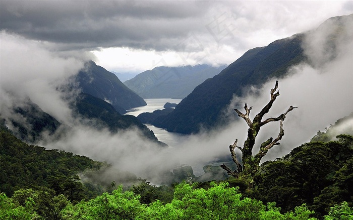 山林树林迷雾风景画