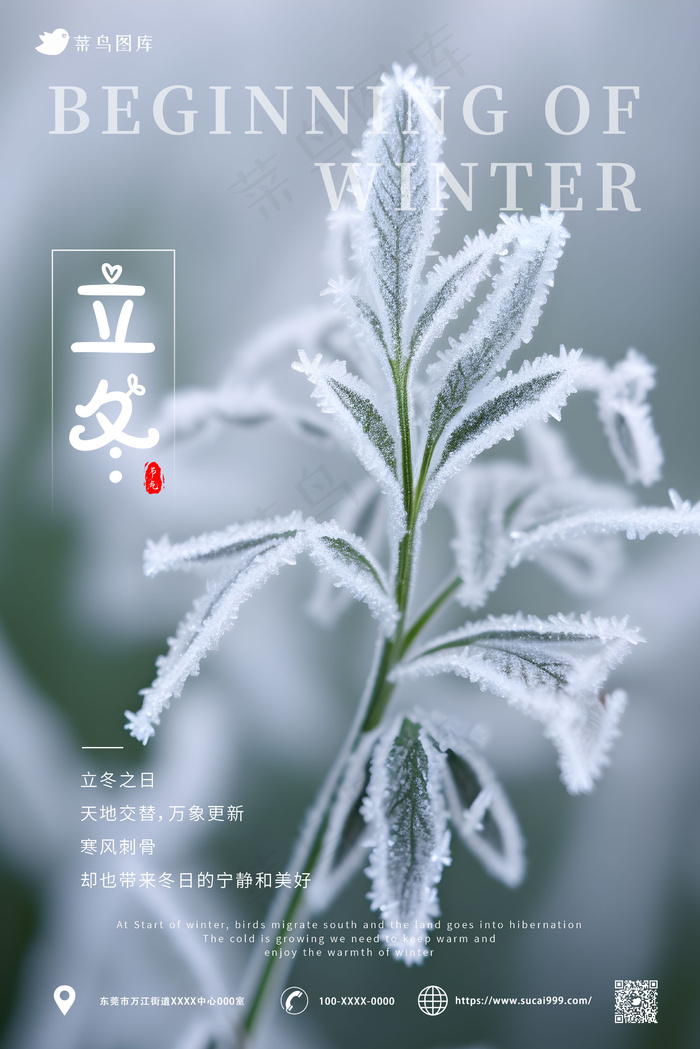 结霜小草 简约立冬节气海报ai矢量模版下载