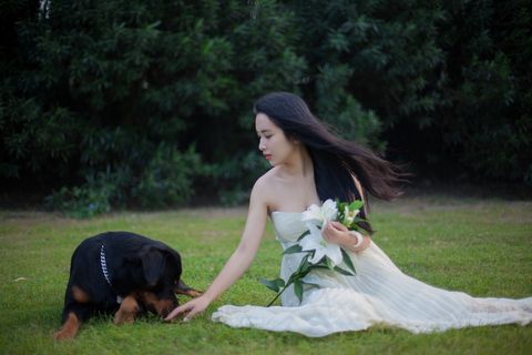 萌宠美女写真图片