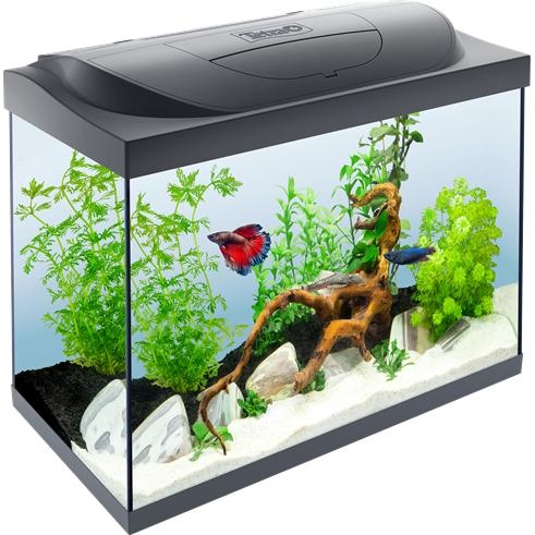 水族馆 PNG免抠