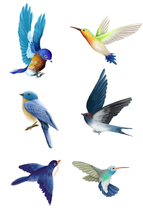 春季小鸟鸟类元素插画psd模版下载