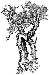 古木工笔国画美图素材