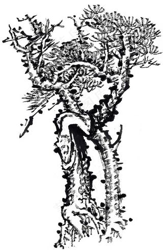 古木工笔国画美图素材