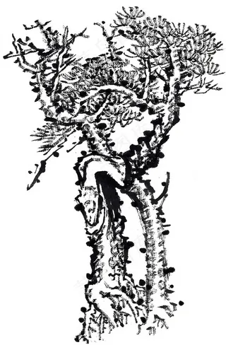 古木工笔国画美图素材