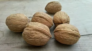 桌面核桃干果图片