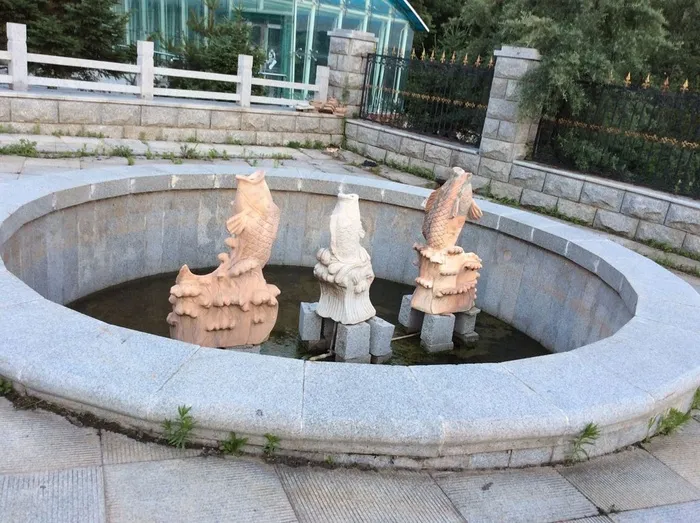 水池内的石雕鲤鱼