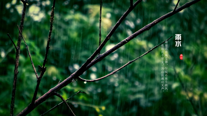 24节气雨水带字图片