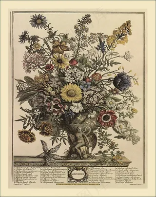 古典精美装饰画