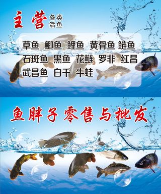 卖鱼名片图片
