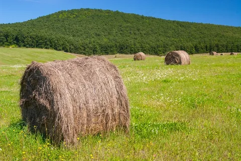 荒野干草垛图片 荒野干草垛图片