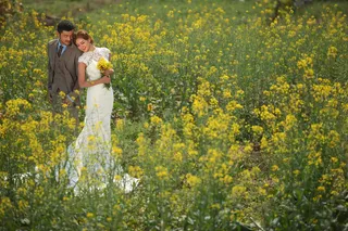油菜 油菜花 黄花 菜花 乡村 农村 乡村风情 花语 婚纱照