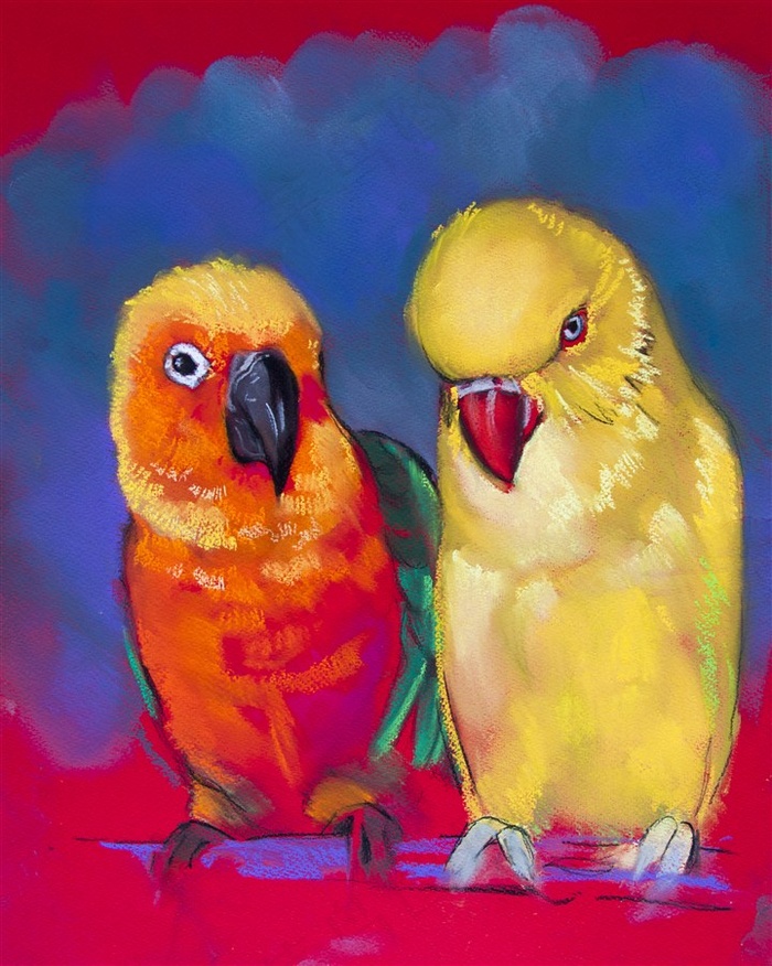 两只艳丽的鹦鹉