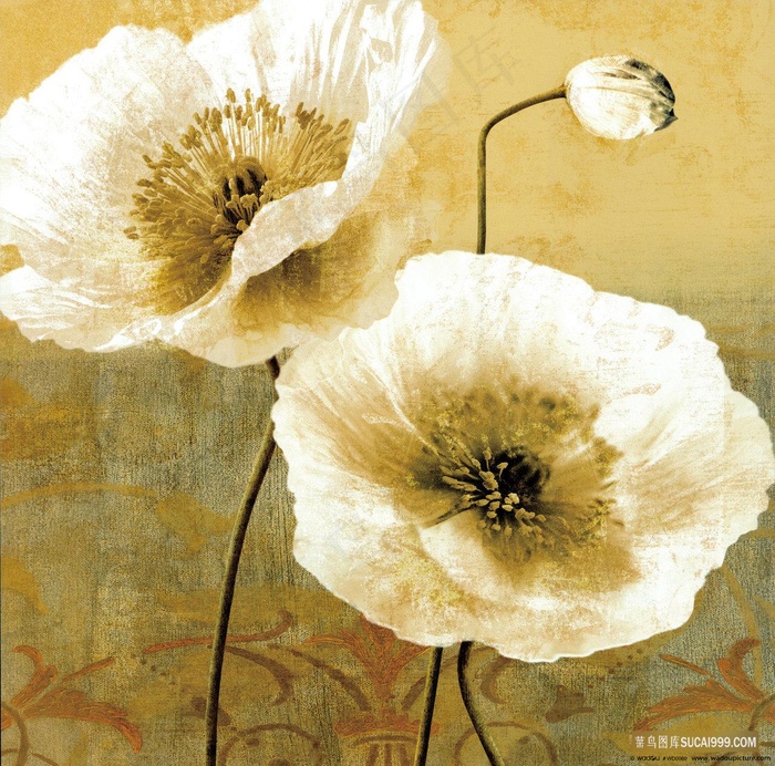 唯美复古花卉植物油画