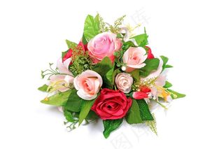 玫瑰花高清摄影图片素材