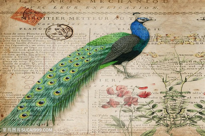 欧式孔雀装饰画