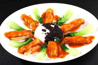 R02087*黄玉参 (1)