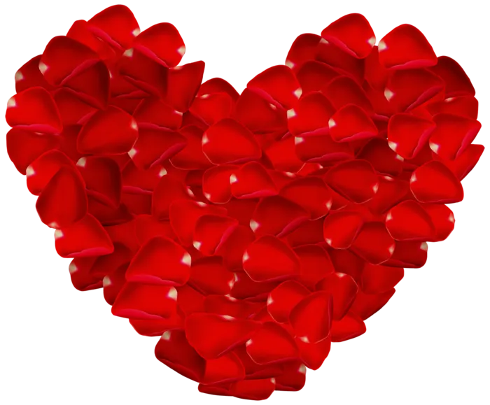 素材花瓣爱心