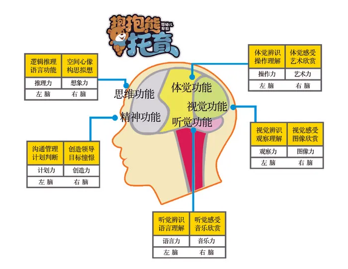 思维功能图psd模版下载