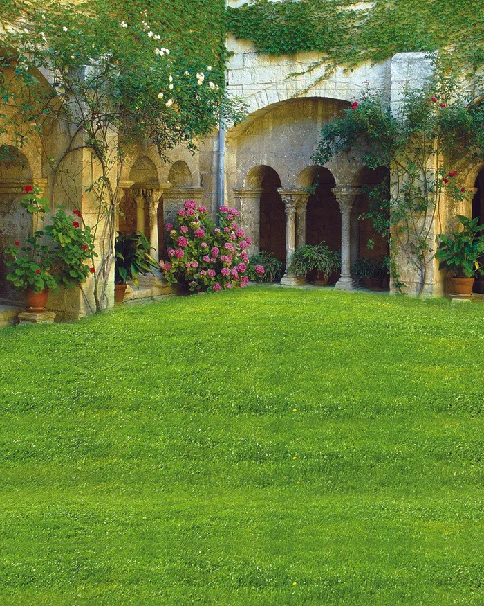 唯美花屋背景