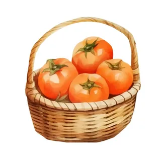 一篮柿子水果插画免抠