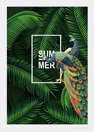 植物孔雀时尚插画