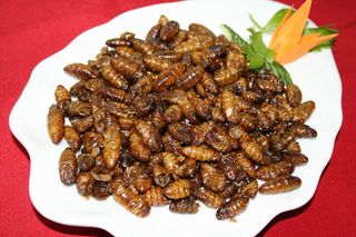 0711a-288飘香蚕蛹12元