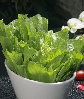 小芥菜火锅配菜美食设计素材