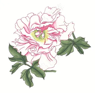 花卉设计jpg素材 花卉设计jpg素材